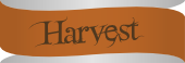 The Harvest