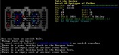 ascii_screenshot_cleared_bailey