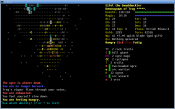 console_0.8_screen_orc4